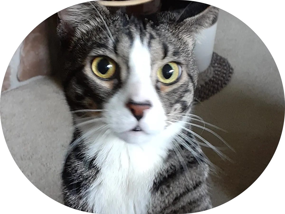 Hometown Realty Associates photo 5