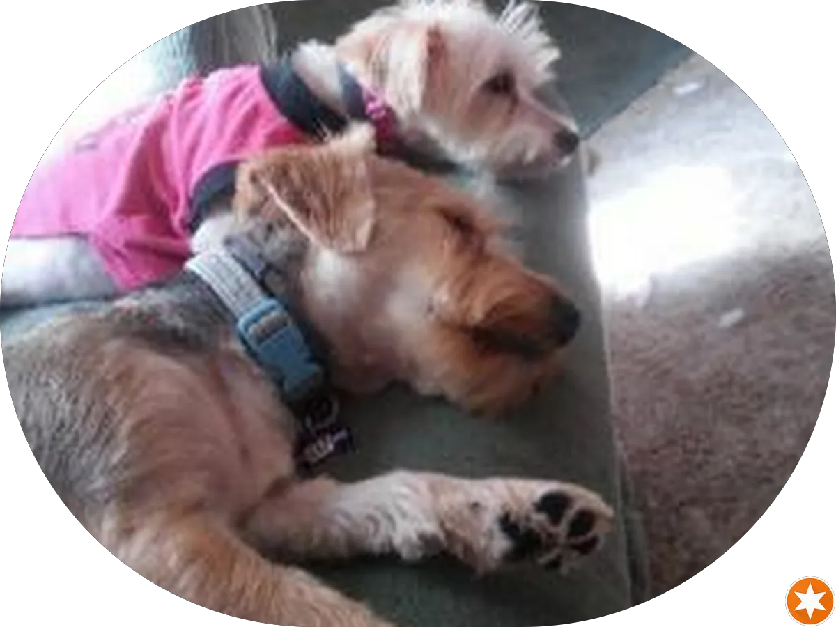 Houlihan Lawrence - Somers Real Estate Agency photo 4