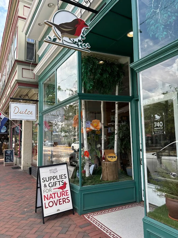 House Finch Suburban Nature Store