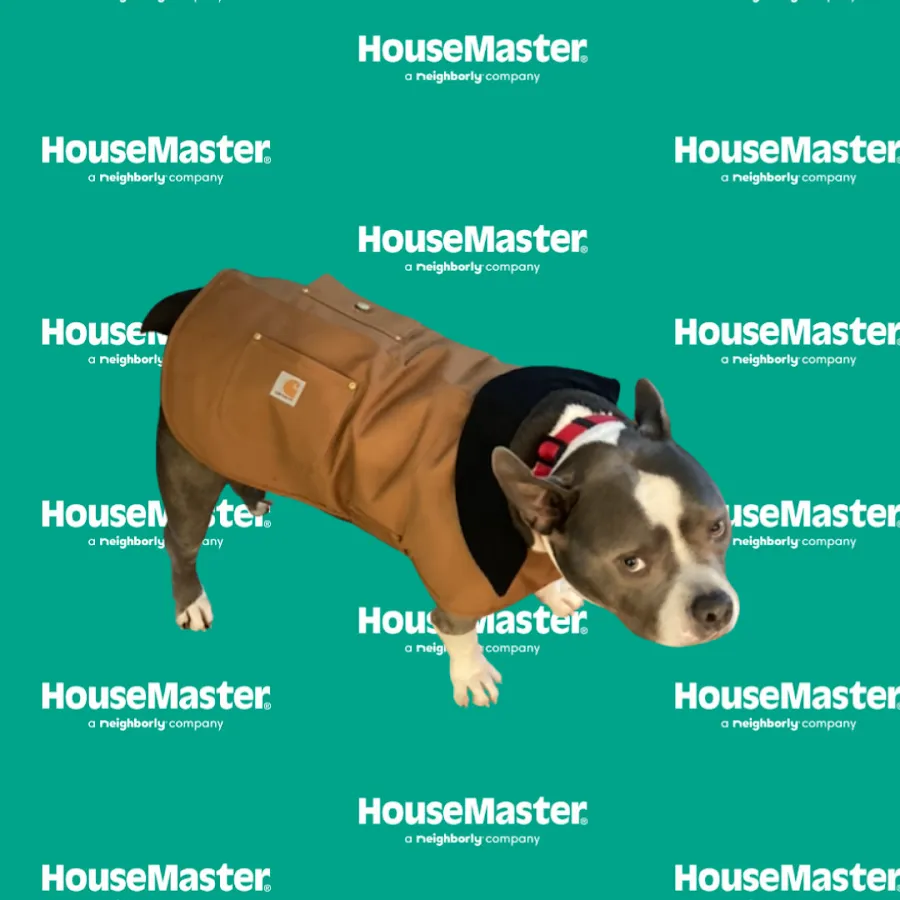 HouseMaster Serving Cherry Hill, Haddonfield, Collingswood photo 2