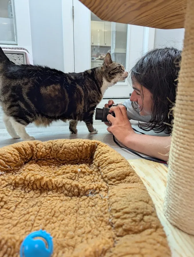 Humane Society of Atlantic County