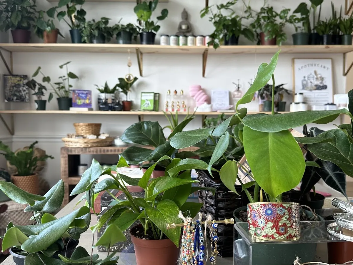 Hummingbird Yoga NJ LLC photo 5