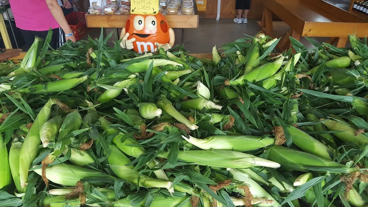 Hunter's Farm & Market photo 3