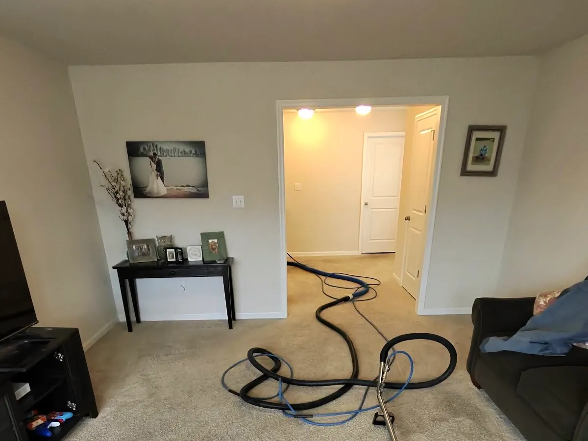 Innovative Carpet Care photo 3