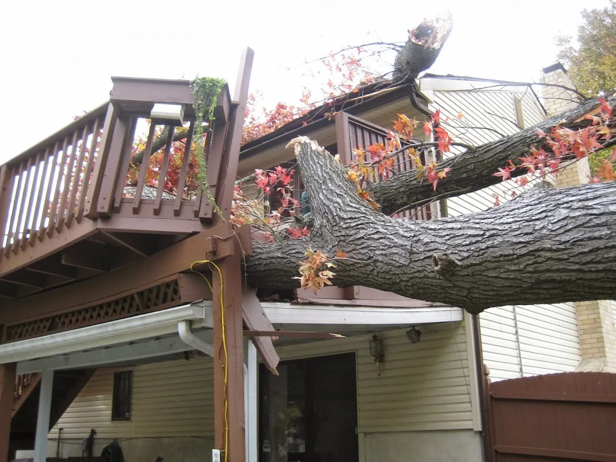 Insurance Adjustment Agency photo 2