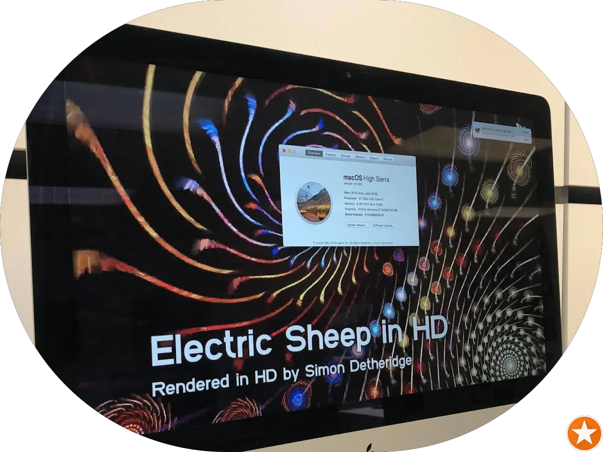 Intellidata USA photo 3