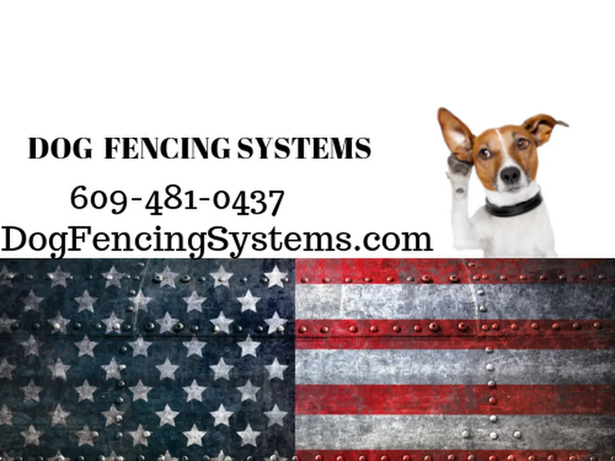 Invisible Fence photo 5