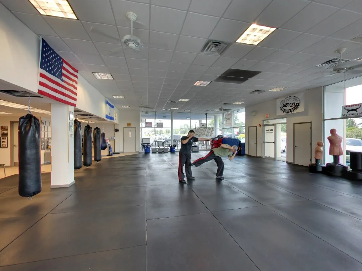 Israeli Krav Maga photo 4