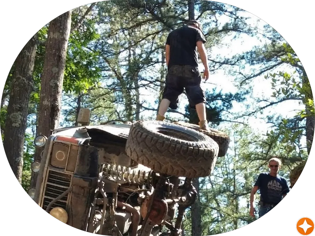 J Cugliotta Landscape Nursery photo 3