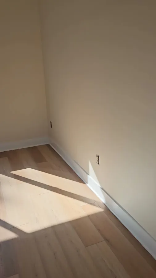 J S painting photo 2