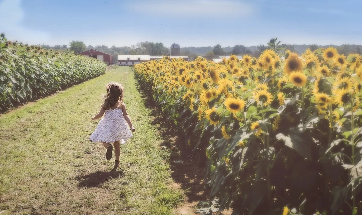 J Schmitt Photography photo 3