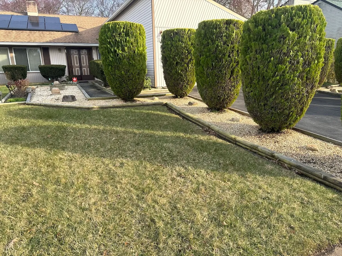 J&A Landscaping photo 4