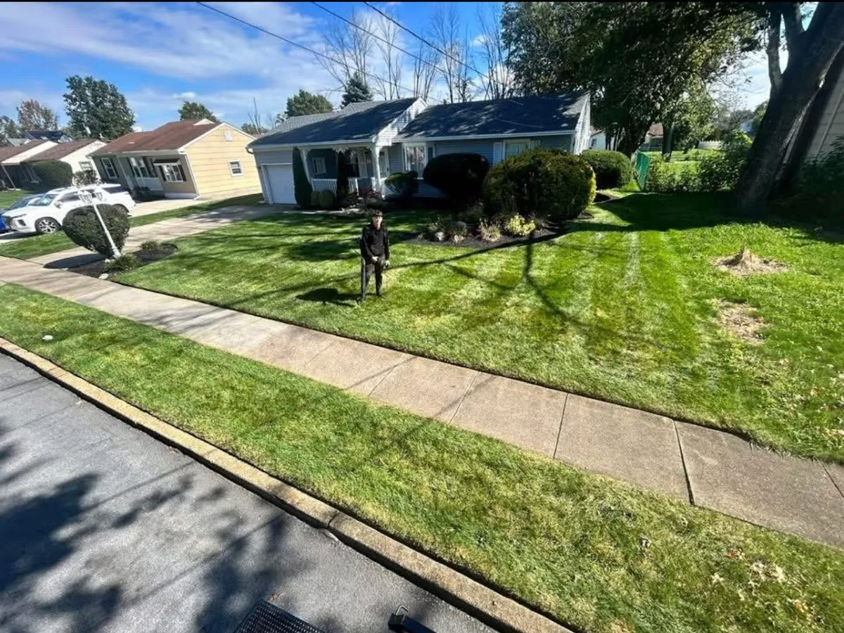 Jack's Lawn Maintenance