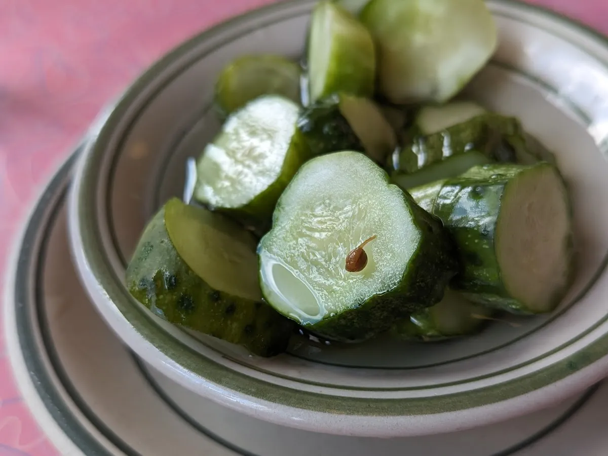 Jackson Hole photo 3