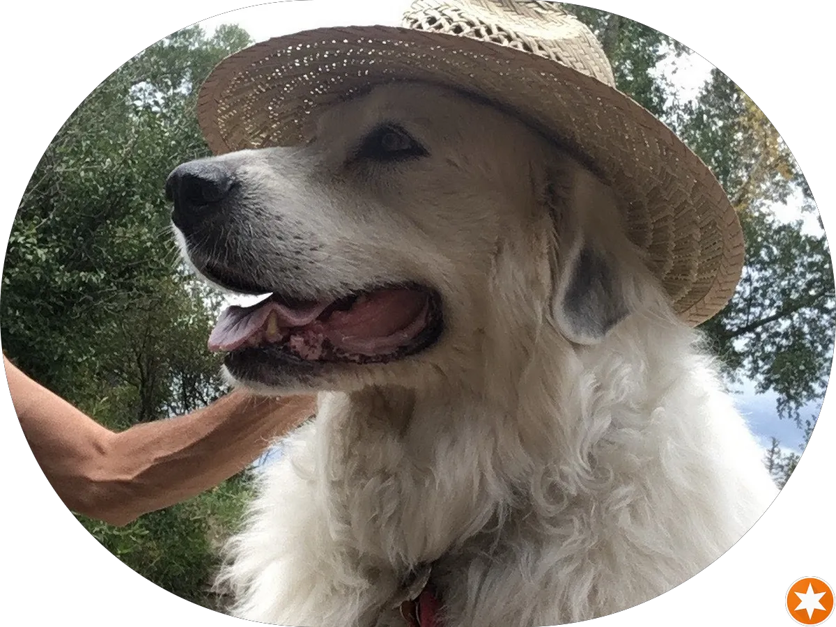 Jacobs Jr Edwin J photo 2