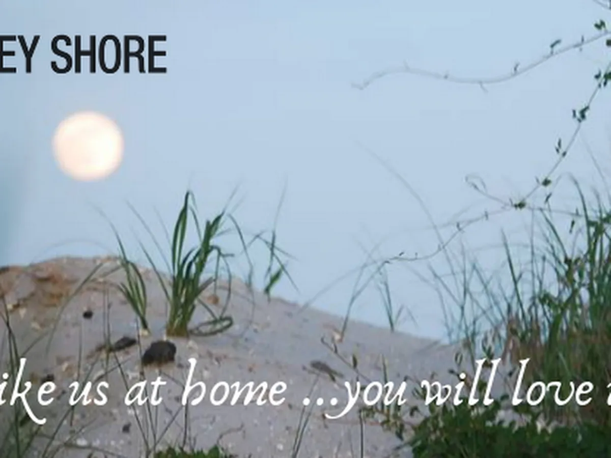 Jacquelyn Tocci, REALTOR photo 3