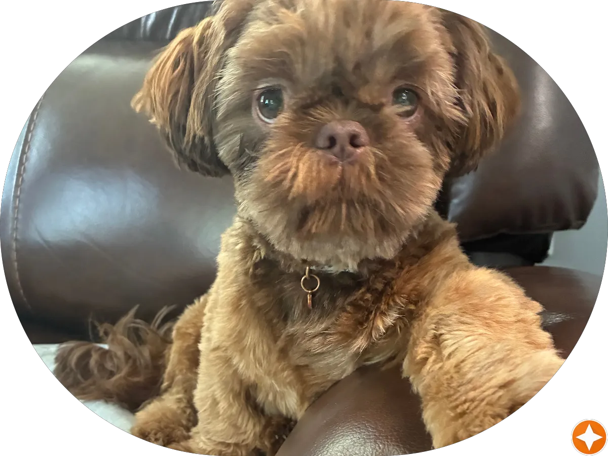 Jade's Pet Pantry photo 5