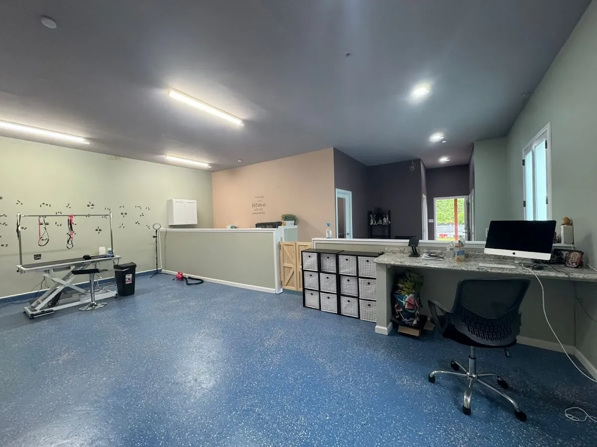 JandB Pet Grooming Near Monroe NJ