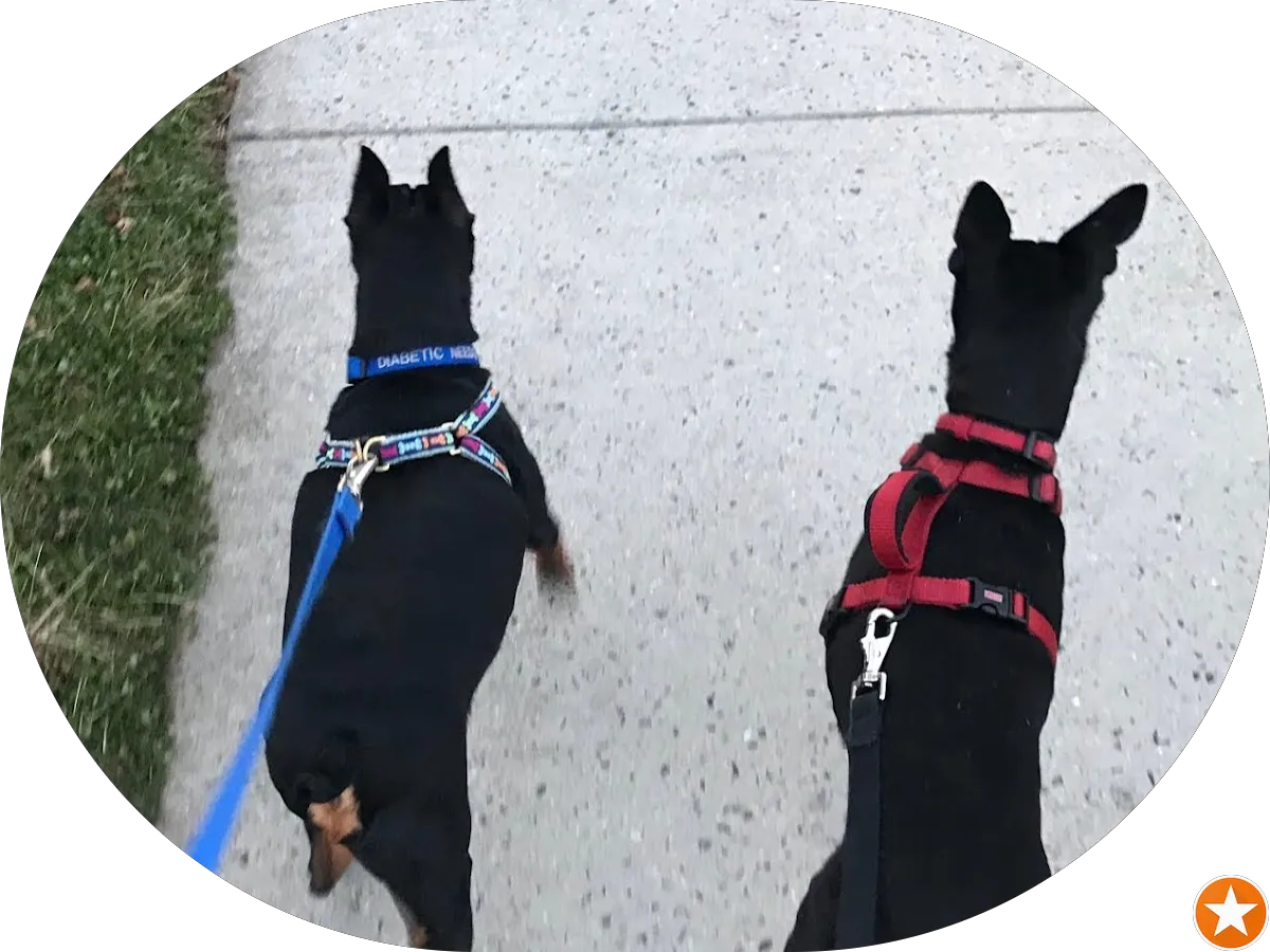 Janey B. Hughes, DO photo 4