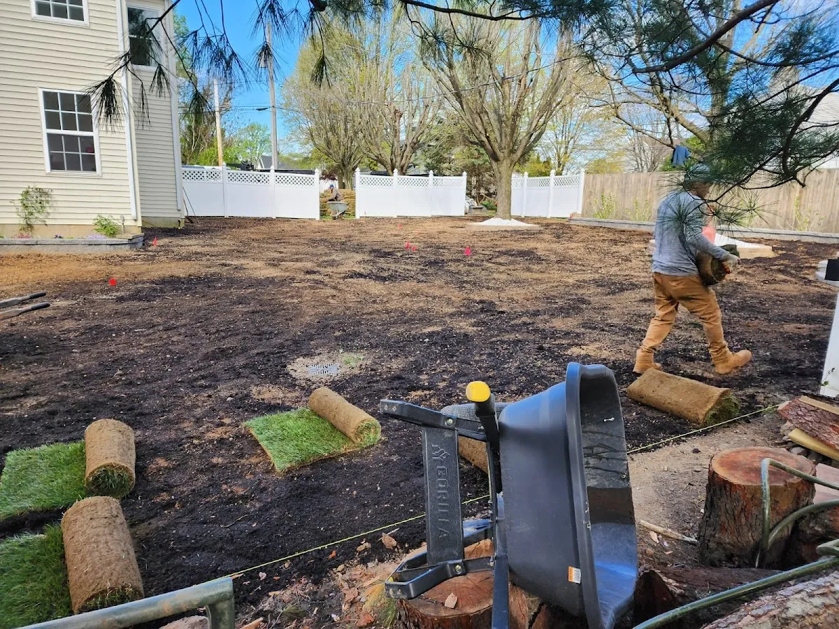 Jc tree & lawn llc photo 3