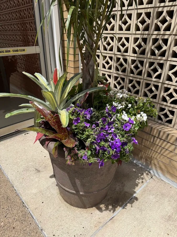 J.C's Outdoor Landscape and Design LLC