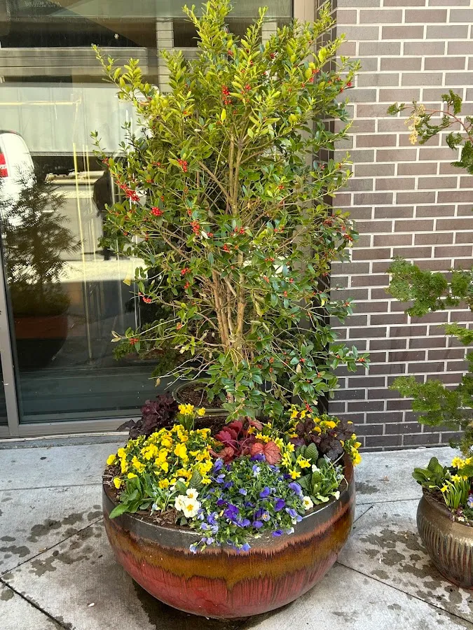 J.C's Outdoor Landscape and Design LLC photo 3