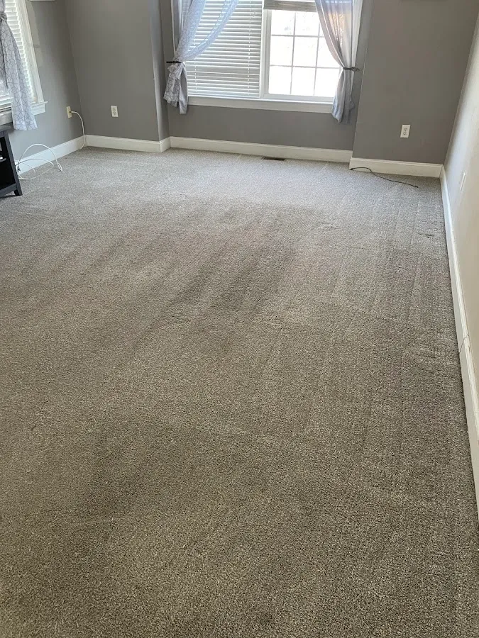 JDog Carpet Cleaning & Floor Care Pottstown