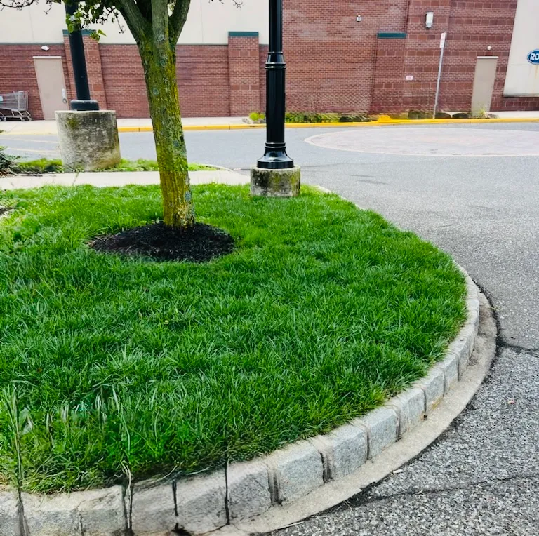 JDR Prestige Landscaping