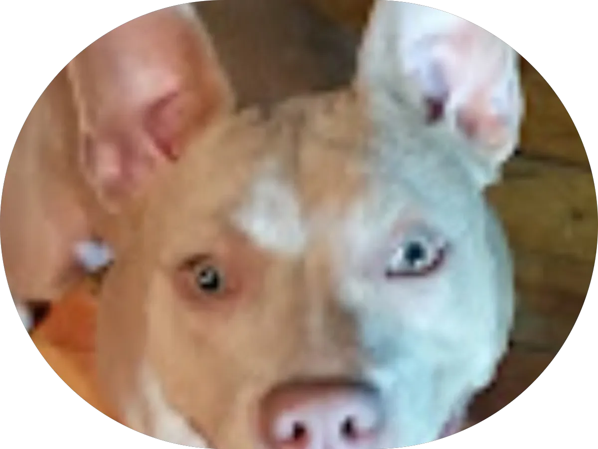 Jeff Sheppard, Esq. photo 3