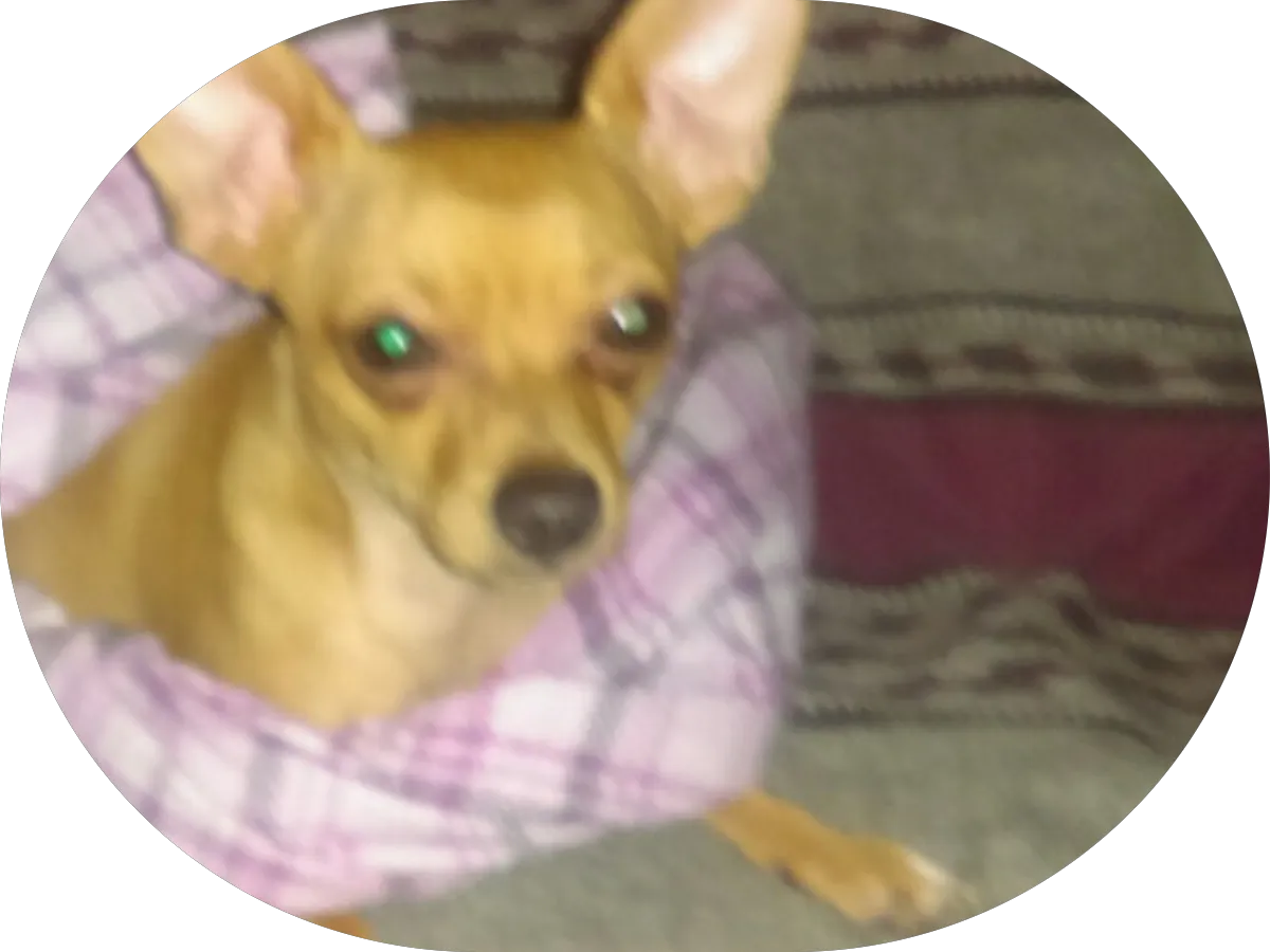 Jeff’s Meat Market photo 5