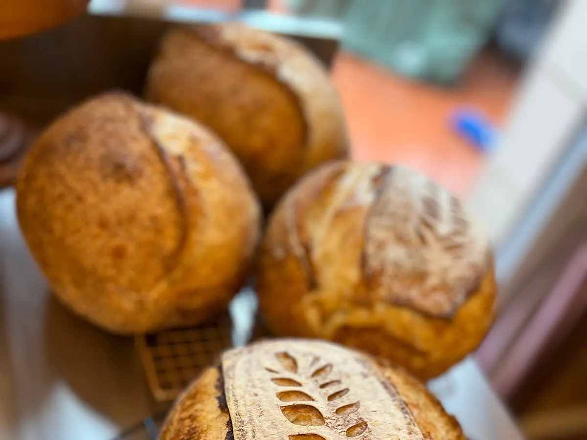 Jelena's Micro-Bakery. photo 2