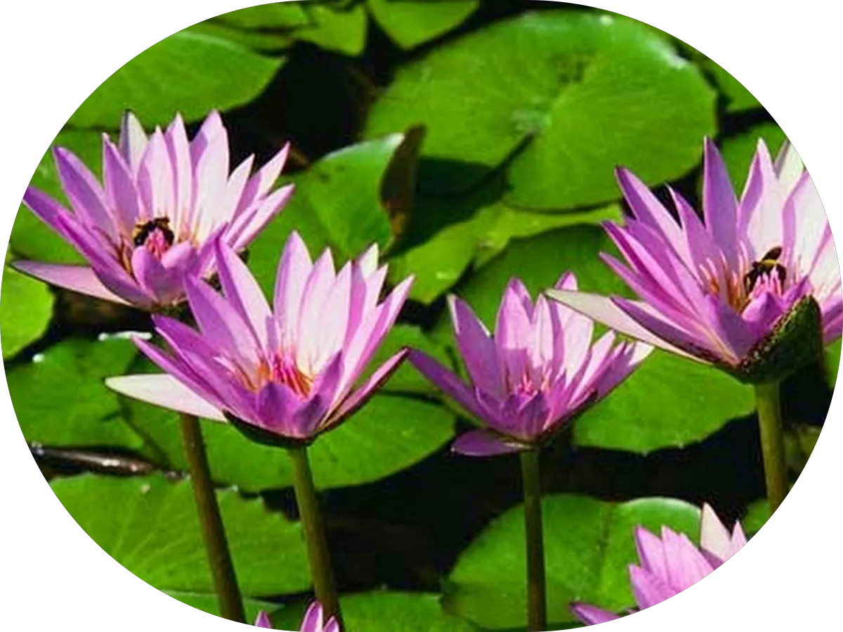 Jenkins Law Group photo 4