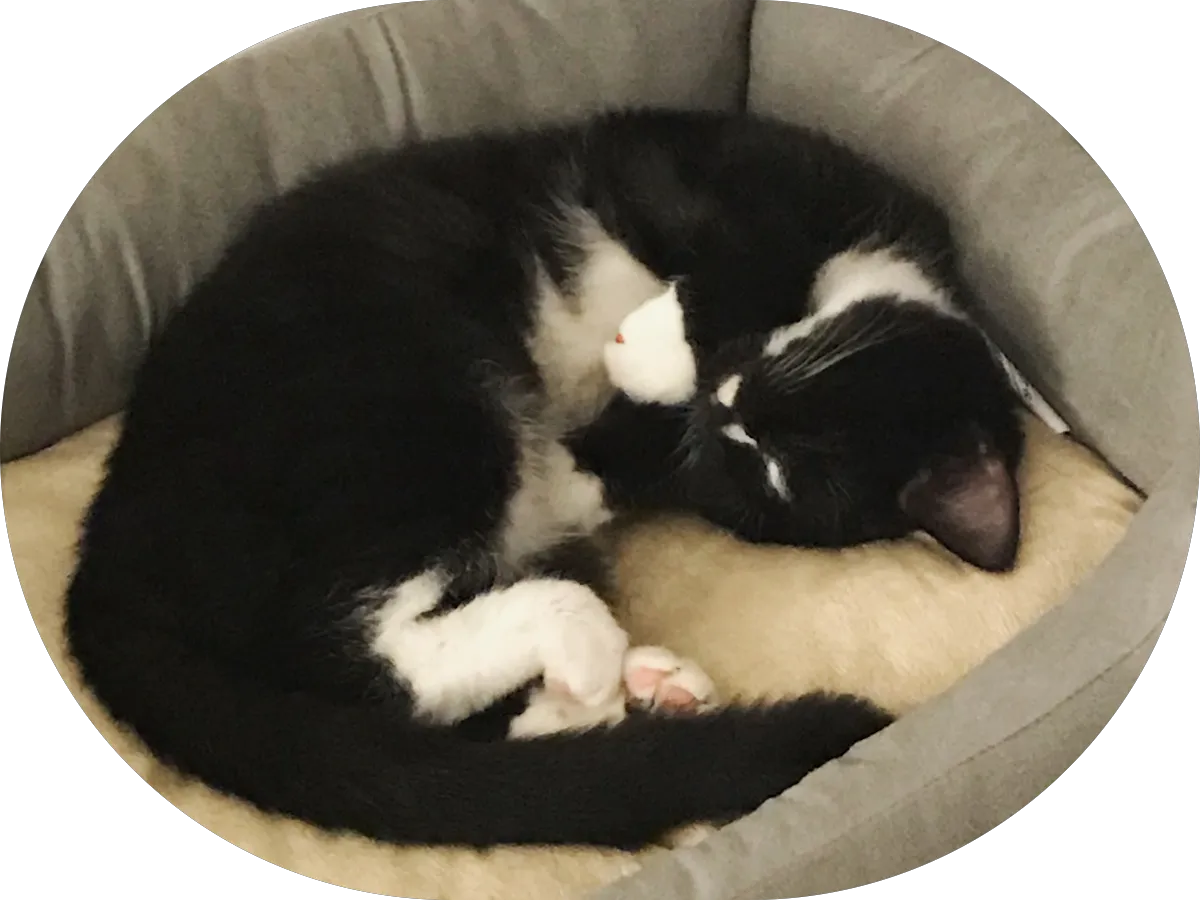 Jennifer Kinch, REALTORยฎ