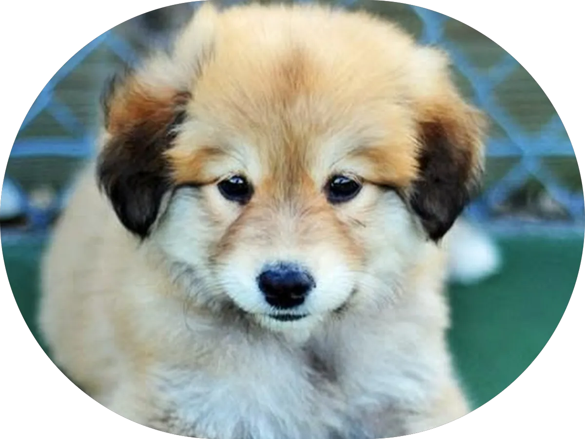 Jennifer Nevins @ Real Brokerage photo 3