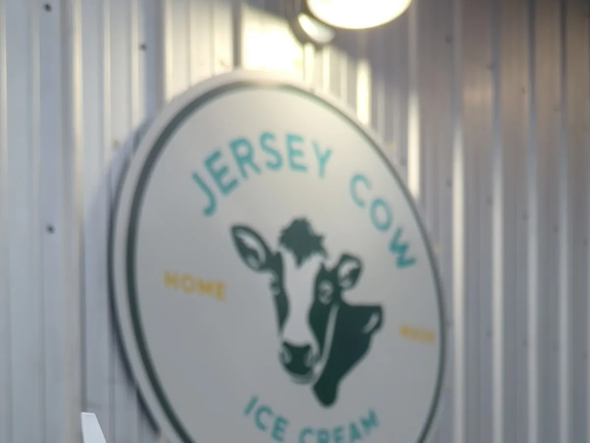 Jersey Cow Ice Cream photo 2