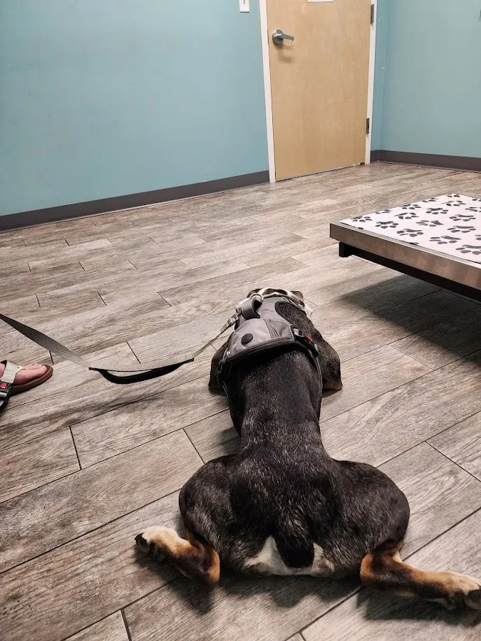 Jersey Shore Veterinary Hospital