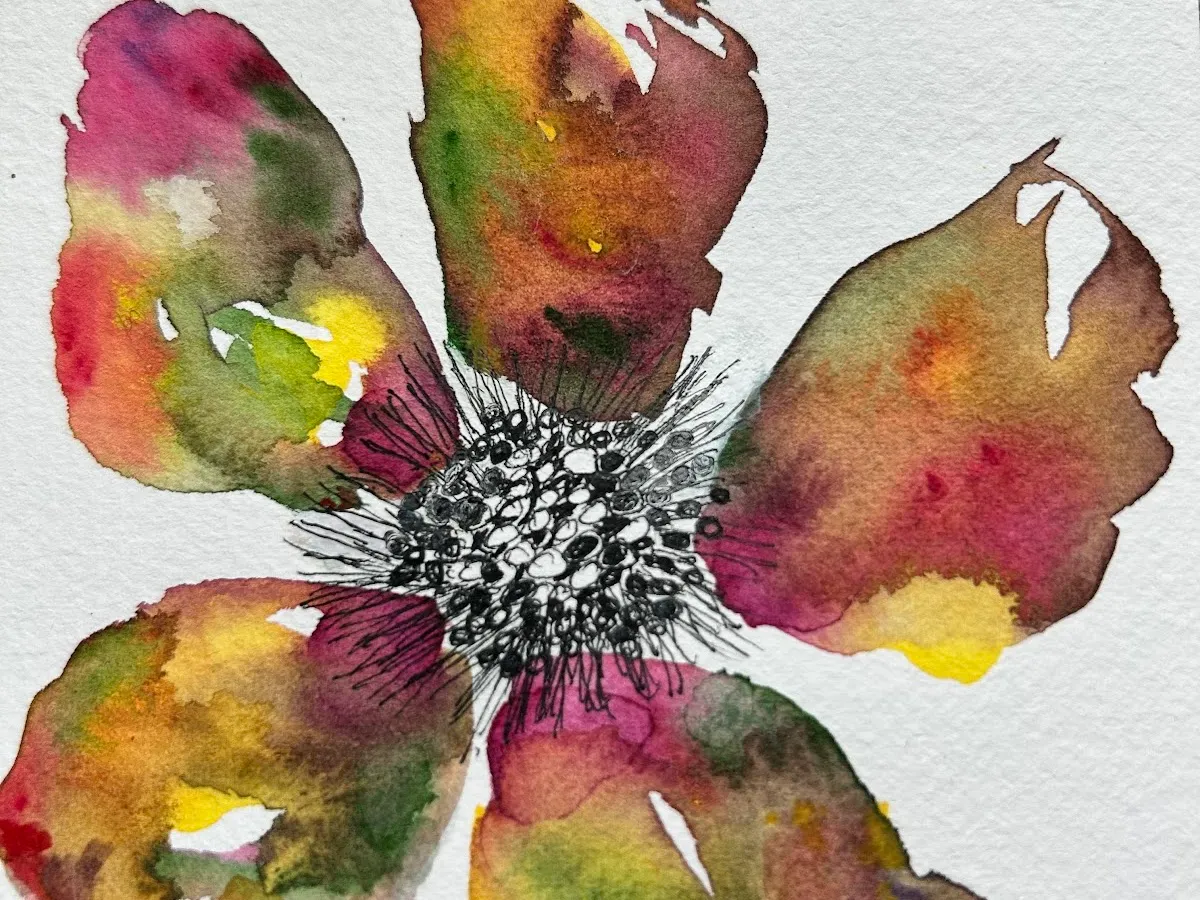 Jetter & Jetter: Jetter Cynthia DDS photo 5