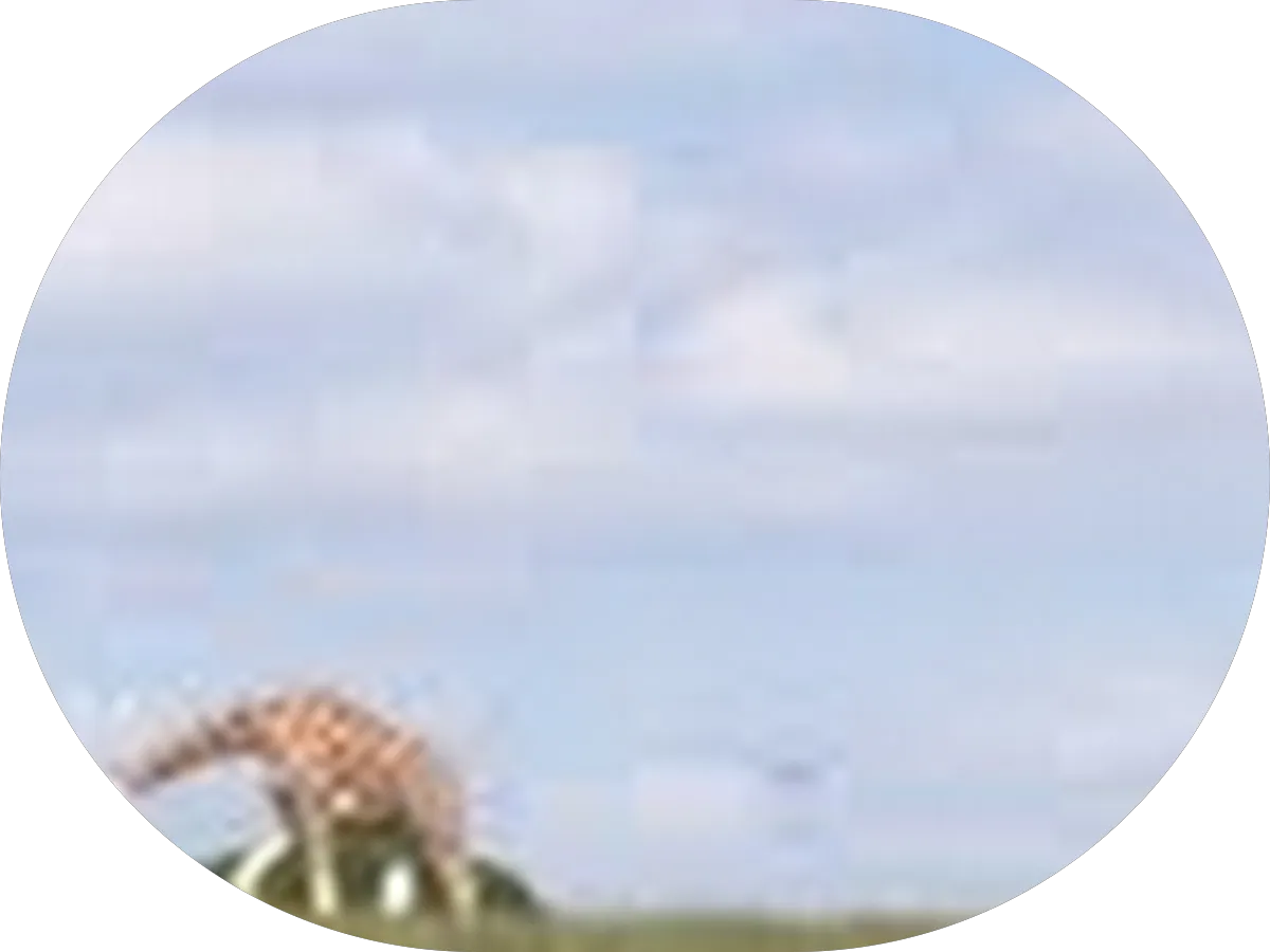 Jewish Family Service of Atlantic & Cape May Counties photo 3