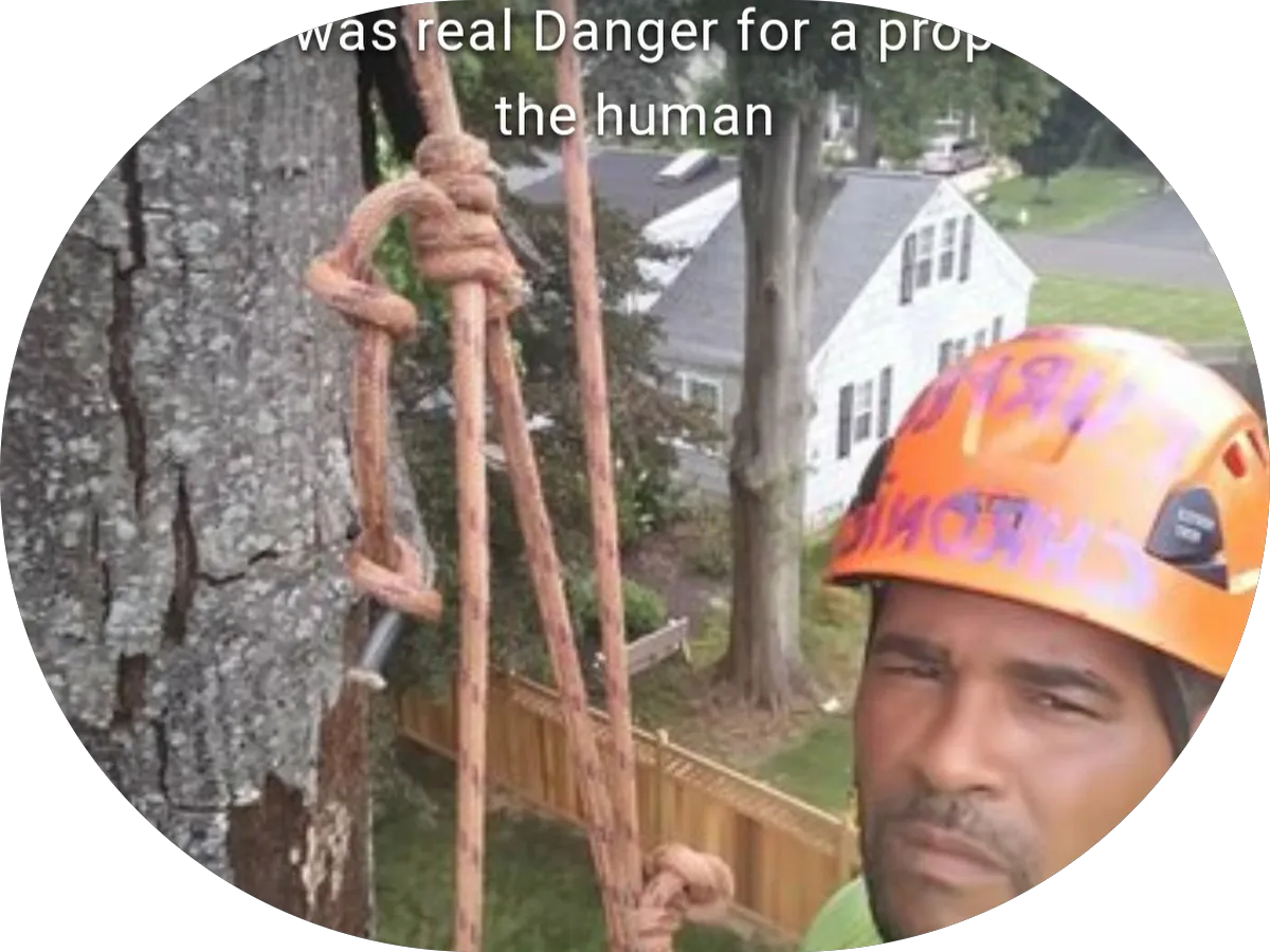 J.Figueroa Landscaping LLC photo 2