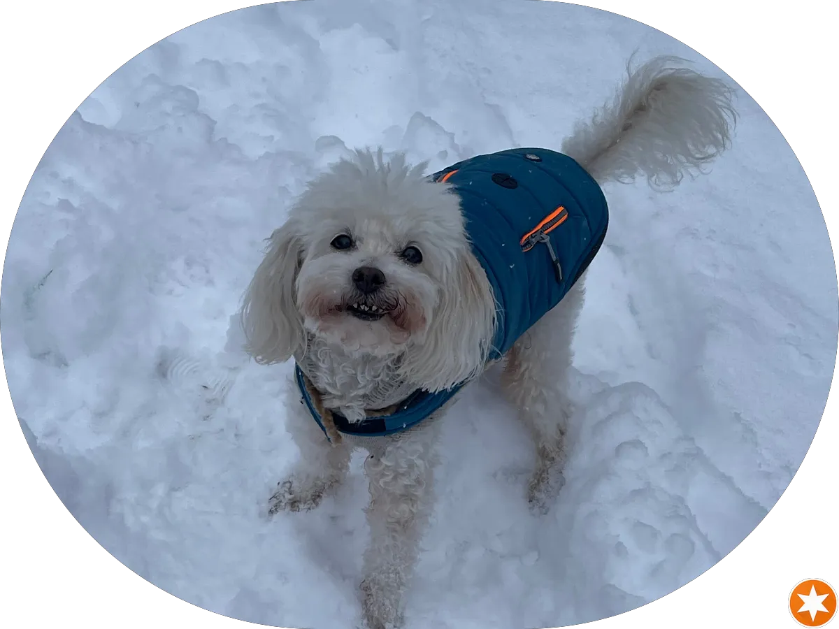 Jimmie's Florist photo 3