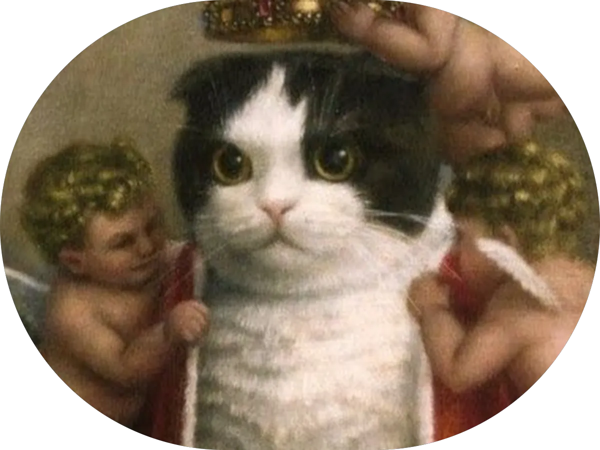 Jireh’s Tree Service and Landscaping LLC photo 5