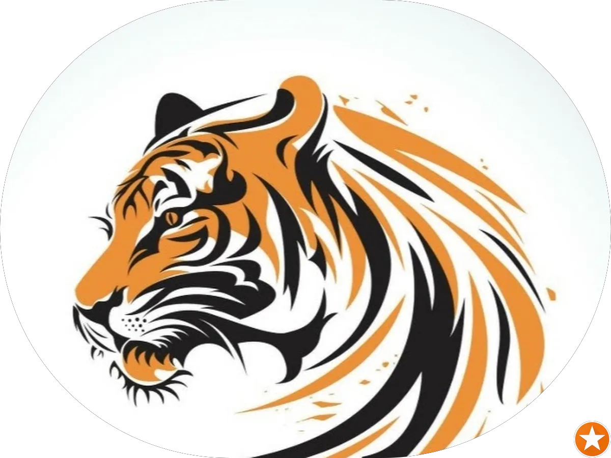 JLM Auto Repair photo 2