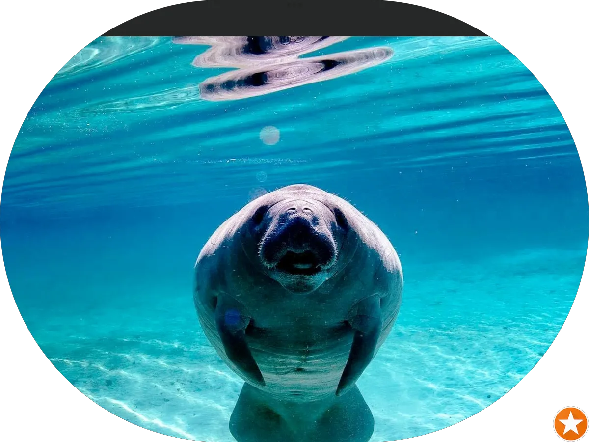 JM Professional Powerwash