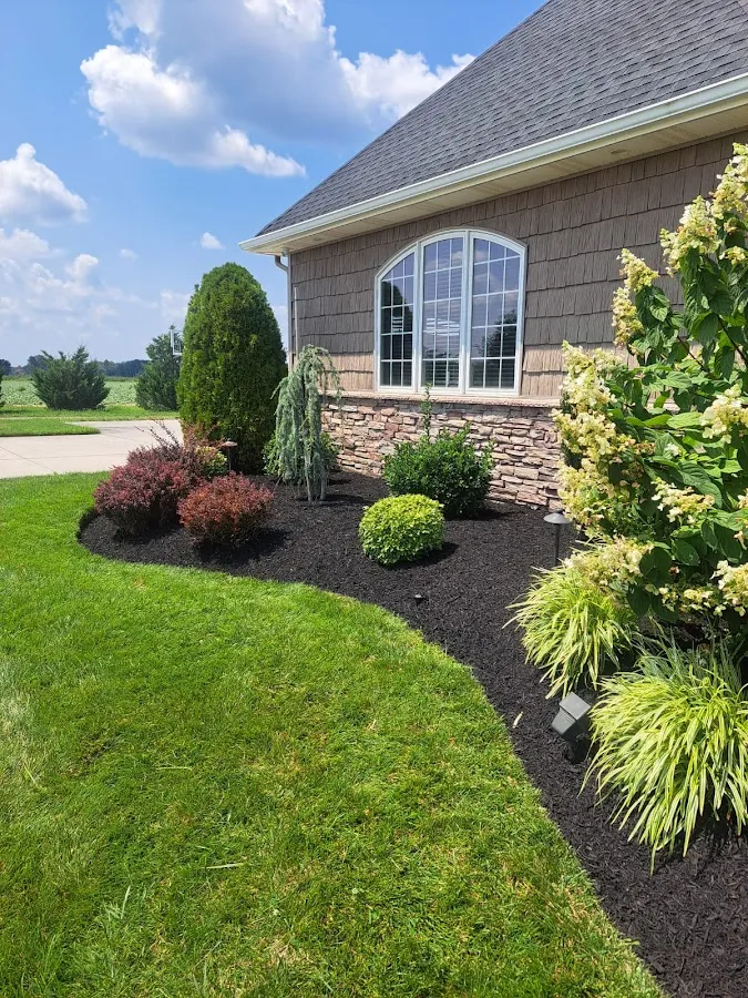 JMS Lawn & Landscaping LLC photo 2