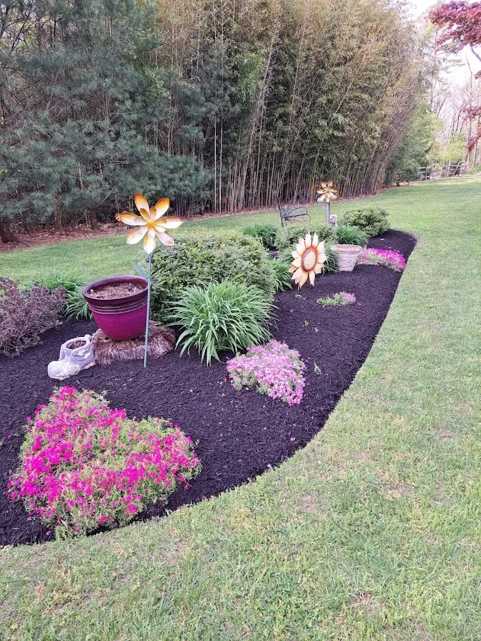 JMS Lawn & Landscaping LLC photo 3
