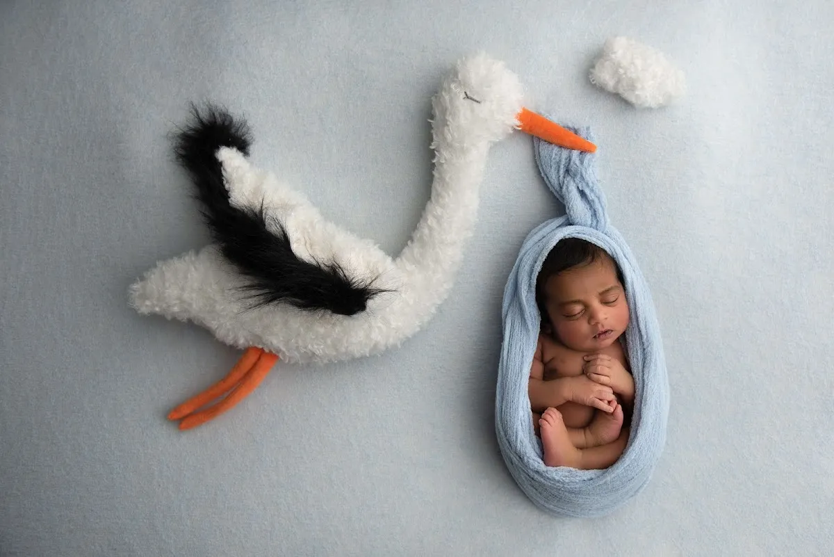 Joanne McSorley Photography