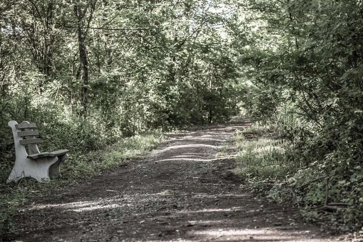 Joe Cutalo Photography