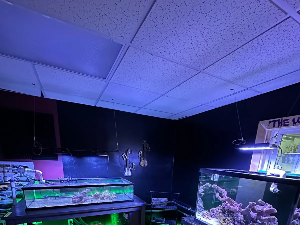 Johnny’s Underworld