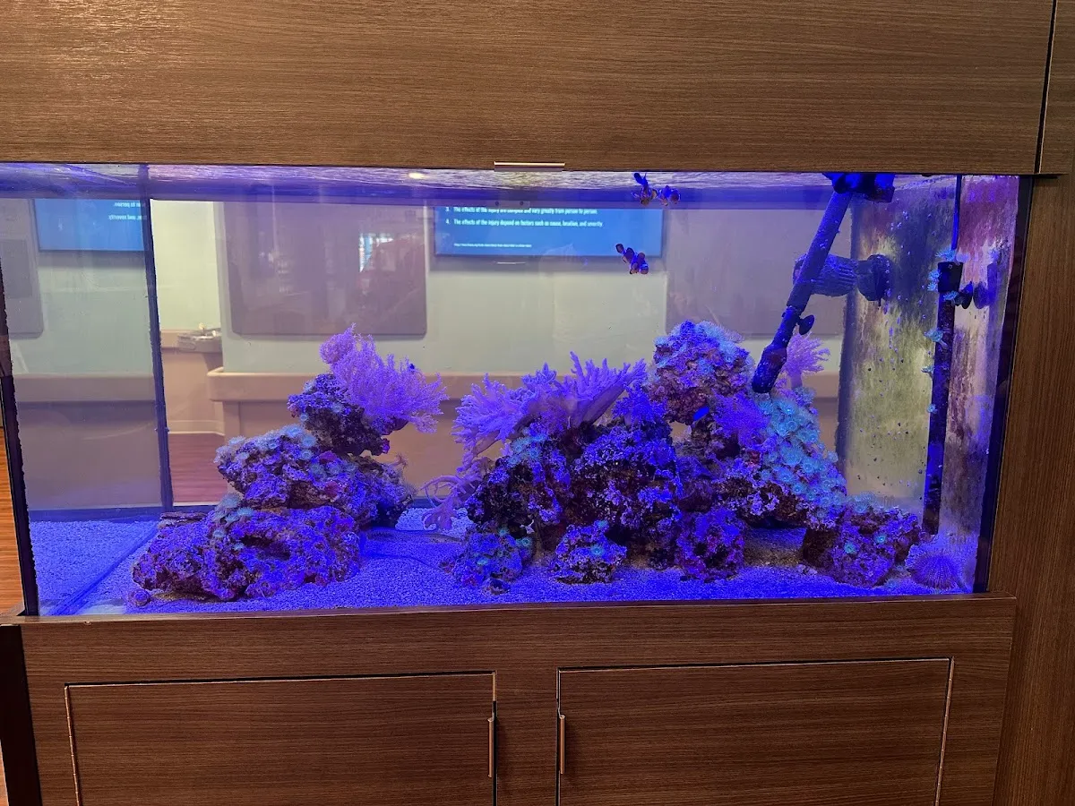 Johnny’s Underworld photo 3