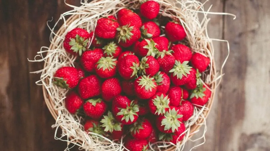 Johnson's Corner Farm photo 5